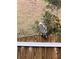 Red-shouldered hawk perched on a wooden fence at 19144 Meadow Pine Dr, Tampa, FL 33647