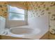 Bathroom featuring a corner jacuzzi tub at 4228 Spring Way Cir, Valrico, FL 33596