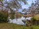 Peaceful lake view from the property at 4228 Spring Way Cir, Valrico, FL 33596