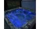 Relax in this luxurious hot tub with soothing lights at 4449 Tour Trce, Land O Lakes, FL 34638