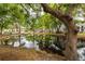 Serene pond view with lush landscaping and large oak trees at 7117 E Bank Dr # 2, Tampa, FL 33617