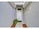 Front entry with white door and potted plant at 19304 Garden Quilt Cir, Lutz, FL 33558