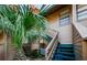 Exterior stairs and a palm tree next to the condo building at 204 Lennox W Rd, Palm Harbor, FL 34683