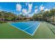 Well-maintained tennis court for residents' enjoyment at 204 Lennox W Rd, Palm Harbor, FL 34683