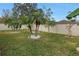 Landscaped backyard with palm trees and a fenced perimeter at 10405 White Peacock Pl, Riverview, FL 33578