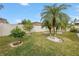 Landscaped backyard with lush grass and palm trees at 10405 White Peacock Pl, Riverview, FL 33578