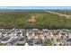 Aerial view of houses near a wooded area and open field at 12152 Ledbury Commons Dr, Gibsonton, FL 33534