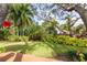 Tropical backyard with large trees at 1320 Fairway Dr, Dunedin, FL 34698