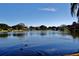 Calm lake view with ducks and lush trees at 1320 Fairway Dr, Dunedin, FL 34698