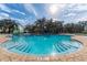 Resort-style pool with water features and lounge area at 13355 Orca Sound Dr, Riverview, FL 33579