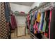 Well-organized closet with ample shelving and hanging space at 14315 Arbor Hills Rd, Tampa, FL 33625