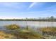 Scenic view of a tranquil lake with lush greenery at 18442 New London Ave, Land O Lakes, FL 34638