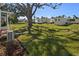 Community backyard with large tree and grassy area at 204 Sky Loch W Dr, Dunedin, FL 34698