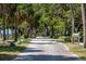 Scenic tree-lined street with a paved pathway, lush landscaping, and a glimpse of waterfront at 204 Sky Loch W Dr, Dunedin, FL 34698