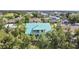 Aerial view of a light teal house with a metal roof, surrounded by lush green trees at 711 Eagle Ln, Apollo Beach, FL 33572