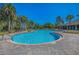 Community pool with lounge chairs and palm trees at 7395 Steer Blade Dr, Zephyrhills, FL 33541