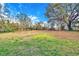 Large backyard with lush green grass and mature trees at 12914 Gordon Rd, Riverview, FL 33579