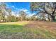 Large backyard with grassy area and trees at 12914 Gordon Rd, Riverview, FL 33579