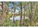 Peaceful lake view through the trees at 12914 Gordon Rd, Riverview, FL 33579