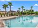 Community pool with lounge chairs and palm trees at 1966 Hawks View Dr, Ruskin, FL 33570