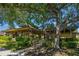 Community pavilion nestled under a large tree at 2126 Larchwood Ct, Trinity, FL 34655