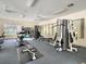 Community fitness center with various exercise equipment at 25237 Seven Rivers Cir, Land O Lakes, FL 34639