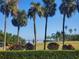 Golf course with palm trees and water views at 2616 Cove Cay Dr # 102, Clearwater, FL 33760