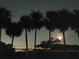 Night view of palm trees with a bridge in the distance at 2616 Cove Cay Dr # 102, Clearwater, FL 33760