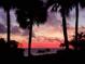 Vibrant sunset over the water, framed by palms at 2616 Cove Cay Dr # 102, Clearwater, FL 33760