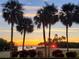 Palm trees silhouette a beautiful sunset view at 2616 Cove Cay Dr # 102, Clearwater, FL 33760