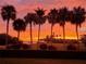 Fiery sunset over calm water and palm trees at 2616 Cove Cay Dr # 102, Clearwater, FL 33760