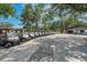 Row of golf carts parked near the clubhouse at 5608 Rockfield Loop, Valrico, FL 33596