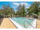 Community pool with surrounding trees at 5608 Rockfield Loop, Valrico, FL 33596