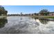 Serene lake view with condo buildings in background at 130 Lakeview Way # 130, Oldsmar, FL 34677