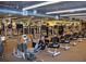 Fitness center with various exercise equipment at 2501 Sapphire Greens Ln, Sun City Center, FL 33573