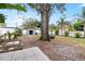Large backyard with mature trees, shed, and grassy area at 2755 Morningside Dr, Clearwater, FL 33759