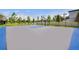 Outdoor community basketball court with a hoop and fenced area at 3949 Northern Key Dr, Plant City, FL 33563