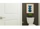 Clean bathroom with toilet and dark accent wall at 10852 Ibis Brook Ct, Land O Lakes, FL 34638