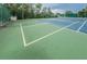 Enjoy a game of pickleball at 11036 Paradise Point Way, New Port Richey, FL 34654