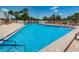 Refreshing community swimming pool with plenty of lounge chairs at 11036 Paradise Point Way, New Port Richey, FL 34654