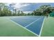 Two well-maintained tennis courts at 11036 Paradise Point Way, New Port Richey, FL 34654