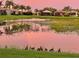 Peaceful lakefront view with ducks at sunset at 15707 Crystal Waters Dr, Wimauma, FL 33598