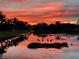 Silhouetted Sandhill cranes by the lake at sunset at 15707 Crystal Waters Dr, Wimauma, FL 33598