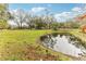 Serene pond view of a ranch style home with lush green grass at 3009 Jim Johnson Rd, Plant City, FL 33566