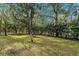 Open grassy area, perfect for outdoor activities at 4540 Oakfield Cir, Dade City, FL 33523