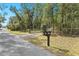 Mailbox located on a tree-lined street at 4540 Oakfield Cir, Dade City, FL 33523