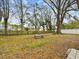 Large backyard with firepit and mature trees at 4920 Steel Dust Ln, Lutz, FL 33559