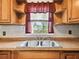 Clean kitchen sink with a window overlooking a backyard view at 4920 Steel Dust Ln, Lutz, FL 33559