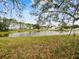 Peaceful pond view with lush green grass at 4920 Steel Dust Ln, Lutz, FL 33559