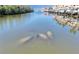 Water view featuring manatees swimming in the serene waterway by the waterfront community at 5000 Culbreath Key Way # 2-202, Tampa, FL 33611